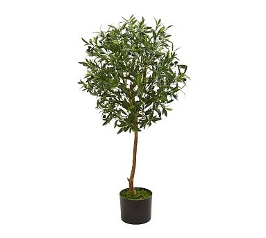 Faux Thin Trunk Olive Tree, 3.5' - Image 0