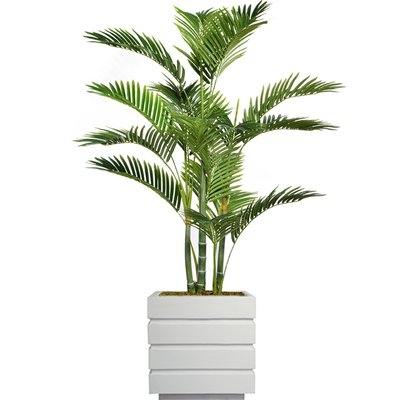 Floor Tall Palm Tree in Planter - Image 0