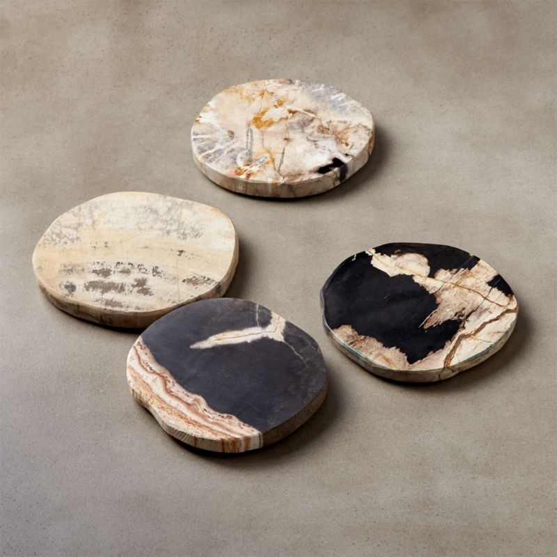 Ring Petrified Wood Coasters Set of 4 - Image 2