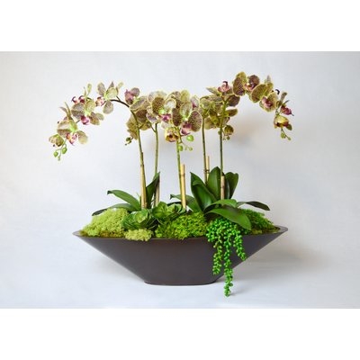Orchid Floral Arrangement in Metal Pot - Image 0