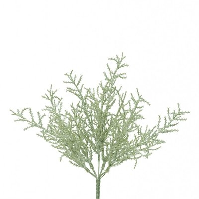 Cedar Bush Branch (Set of 3) - Image 0