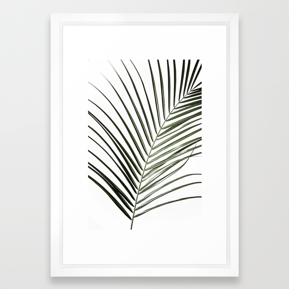 Palm Leaves 8 Framed Art Print by Maboe - Image 0