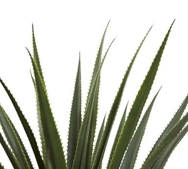 Faux Potted Spiked Agave Plant - Image 1