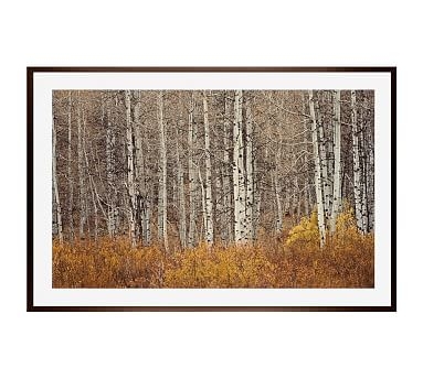 Aspen Trees by Jennifer Meyers, 42 x 28", Wood Gallery, Espresso, Mat - Image 0