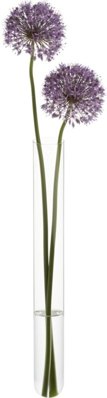 "beaker glass tube 16"" wall vase" - Image 4