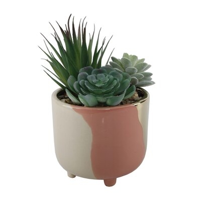 Garden Tone Footed Ceramic Cactus/Agave Succulent in Pot - Image 0