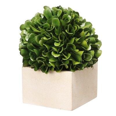 Faux Boxwood Topiary - Image 0