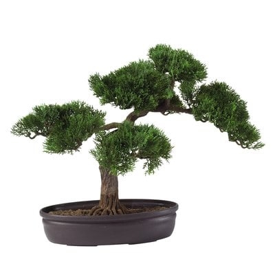 Silk Cedar Bonsai Desk Top Plant in Planter - Image 0