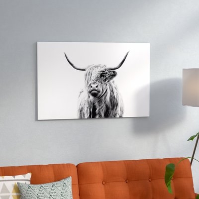 'Portrait of a Highland Cow' Photographic Print - Image 0