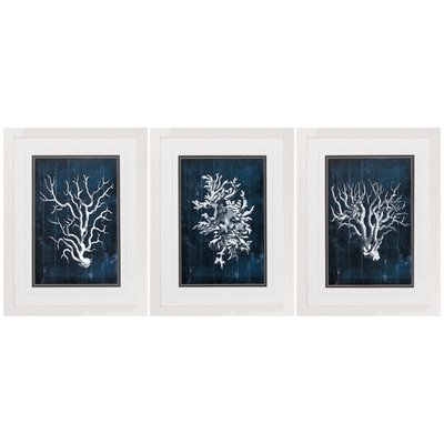 Wood Coral - 3 Piece Picture Frame Graphic Art Print Set on Paper - Image 0