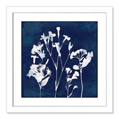 'Cyanotype Botanical II' Framed Graphic Art Print - Image 0