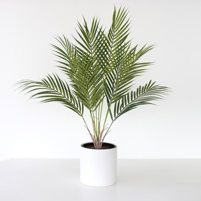 Artificial Areca Palm Plant in Ceramic Vase - Image 0