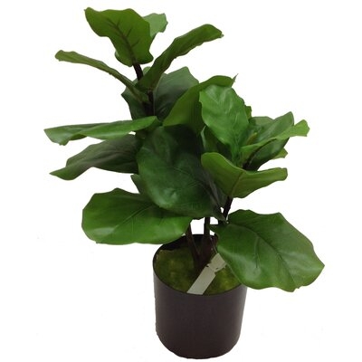 Fiddle Fig 26.5" Tabletop - Faux - Image 0