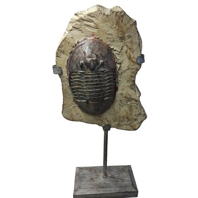 Swinson Trilobite Fossil on Stand Sculpture - Image 0