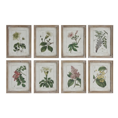 Flower Illustrations - 8 Piece Picture Frame Print Set on Wood - Image 0