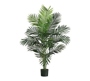 Faux Paradise Palm, 5' - Image 0