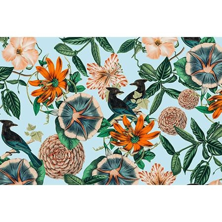83 Oranges Forest Birds Wall Mural - 12ft x 8ft - Image 5