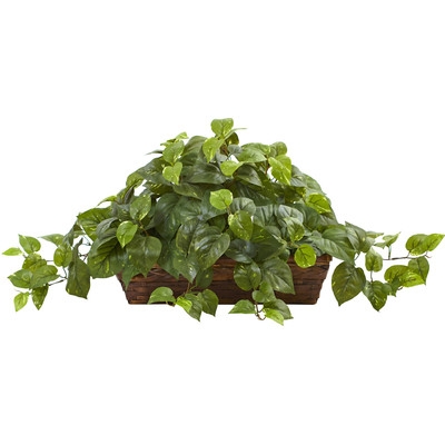 Desktop Ivy Plant in Basket - Image 0