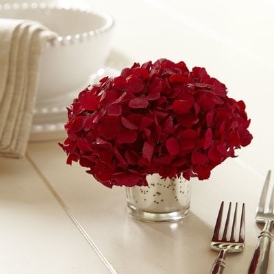 Mini Preserved Hydrangea Floral Arrangement in Vase - Image 0