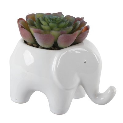Ceramic Elephant Desktop Succulent Plant in Pot - Image 0
