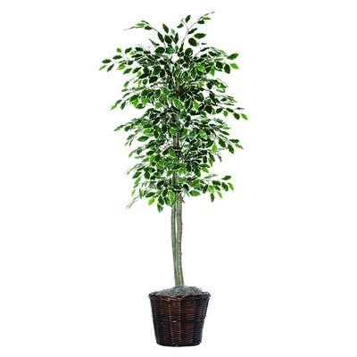 Economy Artificial Potted Natural Variegated Ficus Tree in Basket - Image 0