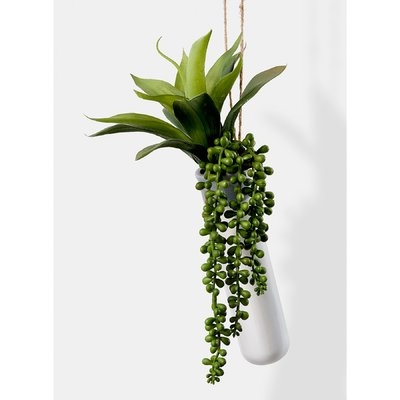 Hanging Succulent Plant in Ceramic Planter - Image 0