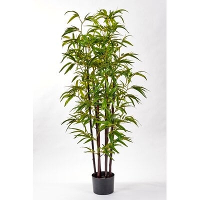 Bamboo Tree in Pot - Image 0
