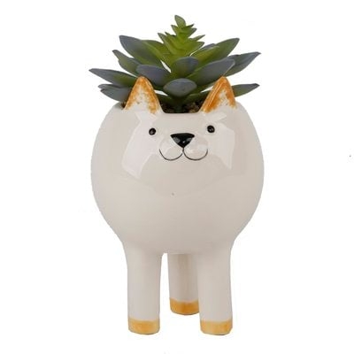 Tall Cat Desktop Succulent Plant in Pot - Image 0