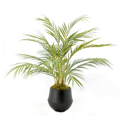 Floor Palm Plant in Pot - Image 0