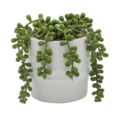 String of Pearls Ceramic Two Tone Agave Plant in Planter - Image 0