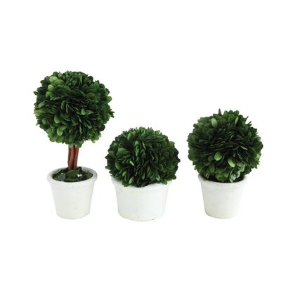 Single Ball Preserved Boxwood Topiary in Pot - Image 0