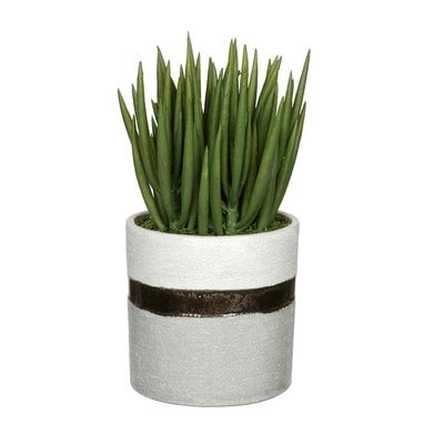 12'' Faux Succulent Plant in Ceramic Vase - Image 0