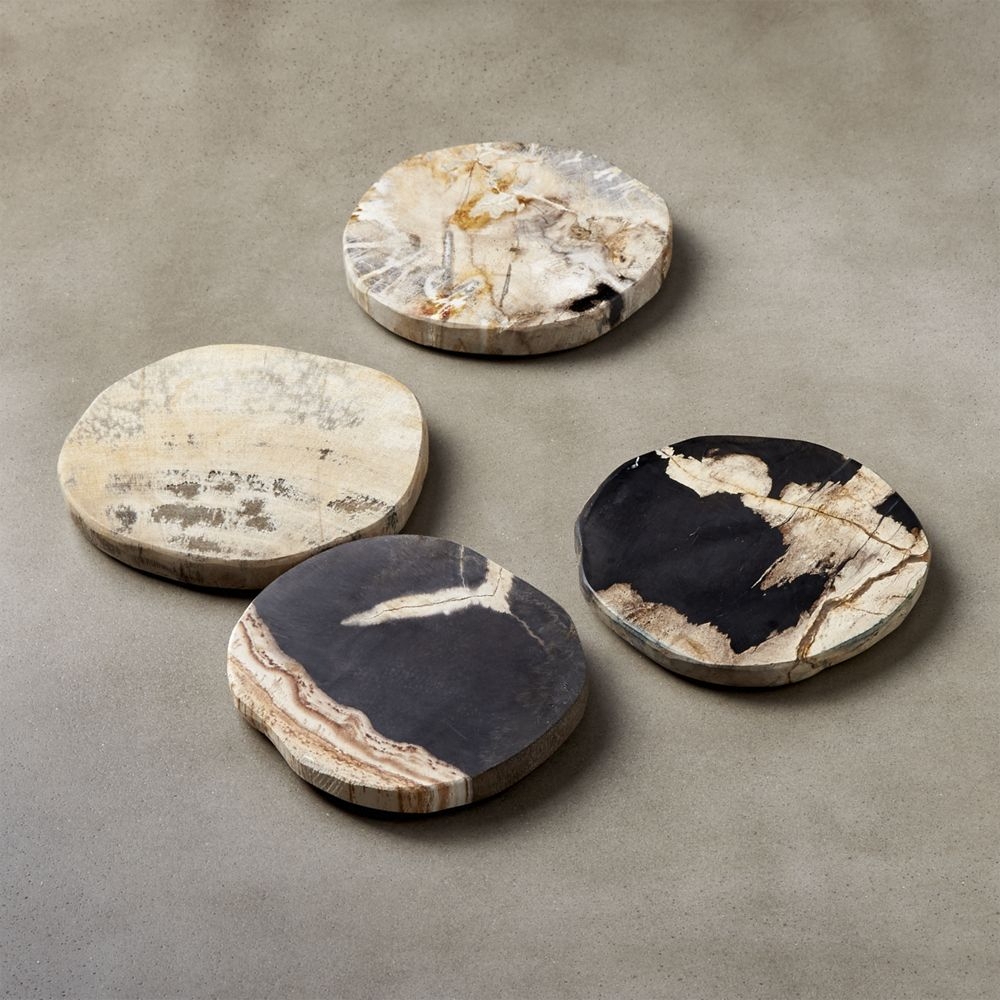 Ring Petrified Wood Coasters Set of 4 - Image 0