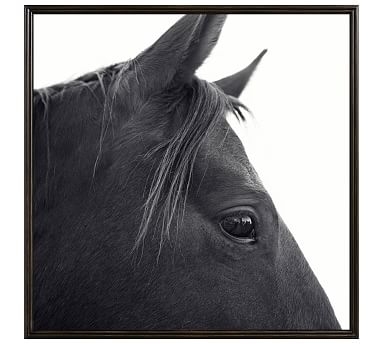 Dark Horse in Profile Framed Print by Jennifer Meyers, 48 x 48", Ridged Distressed Frame, Black, No Mat - Image 2