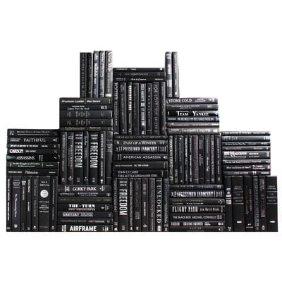 Authentic Decorative Books - By Color Modern Deco Book Wall, Set of 100 (10 Linear Feet) - Image 0