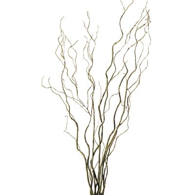 Curly Willow Branch - Image 0