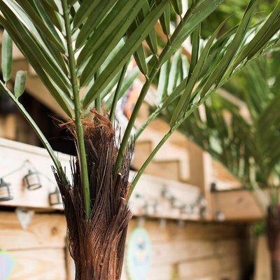 UV Kentia Palm Tree - Image 0