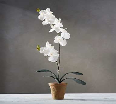 Faux Potted Orchid, 21" - Image 0