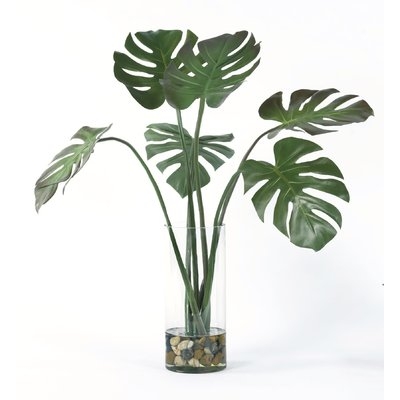 Split Leaves Foliage Plant in Glass Vase - Image 0