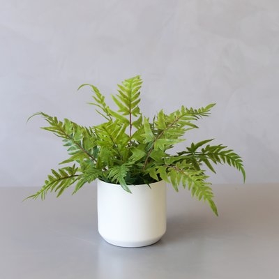 Potted Artificial Brake Desktop Palm Plant in Vase - Image 0