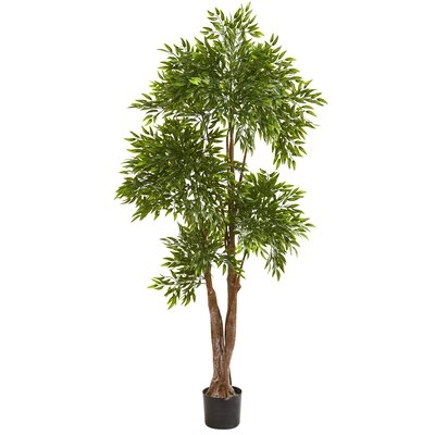 Artificial Ruscus Tree in Pot - Image 0