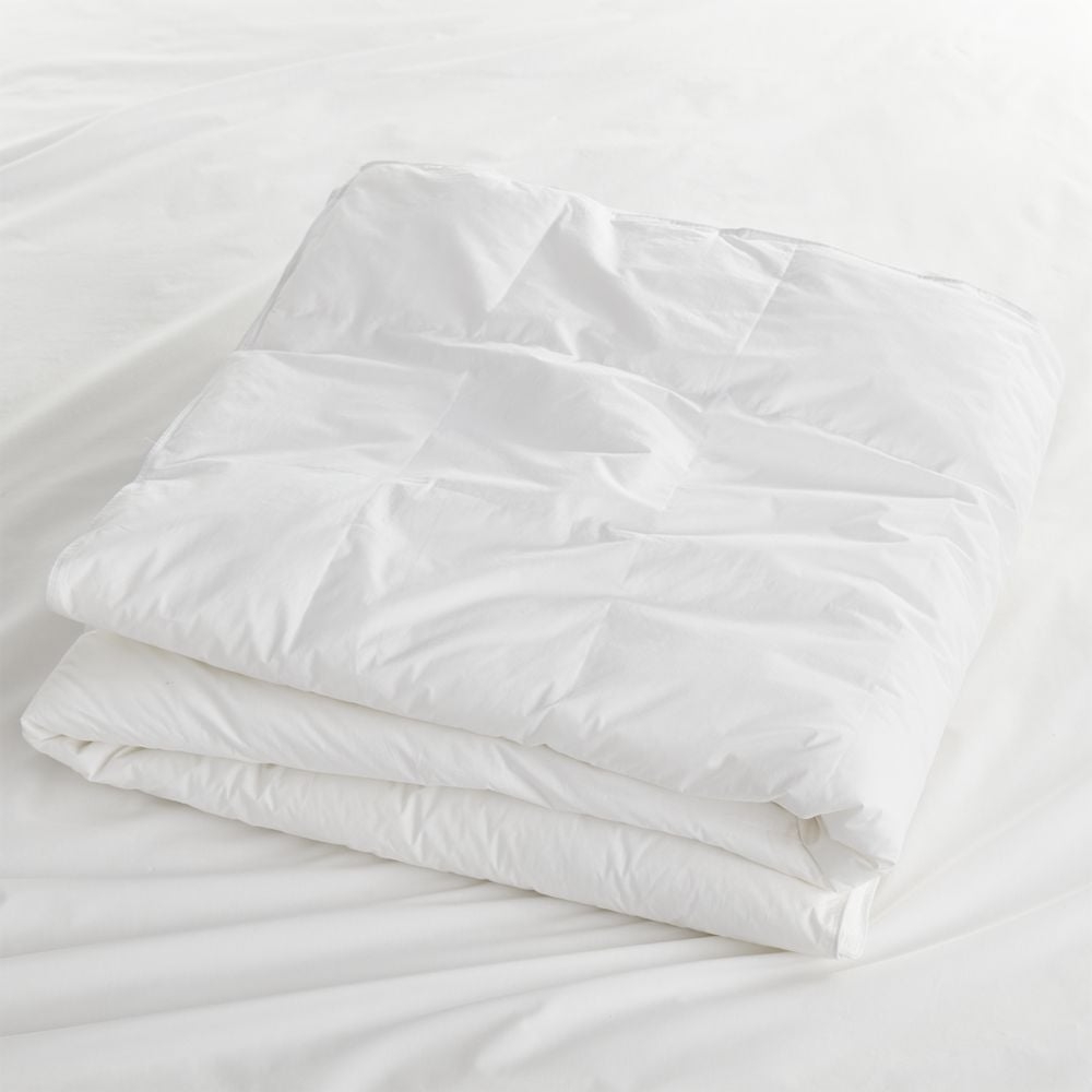 Hypoallergenic Heavyweight Twin Duvet Insert - Image 0