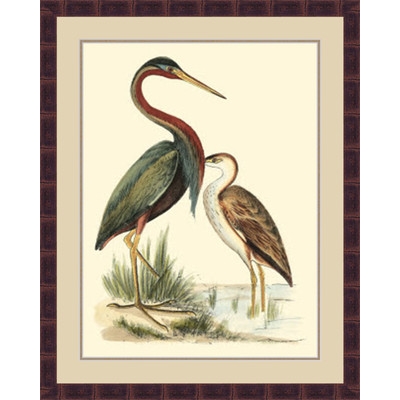 'Water Birds III' Framed Painting Print - Image 0