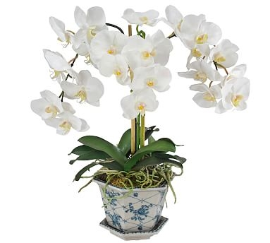Faux Orchid in Cachepot, White/Green - Image 0
