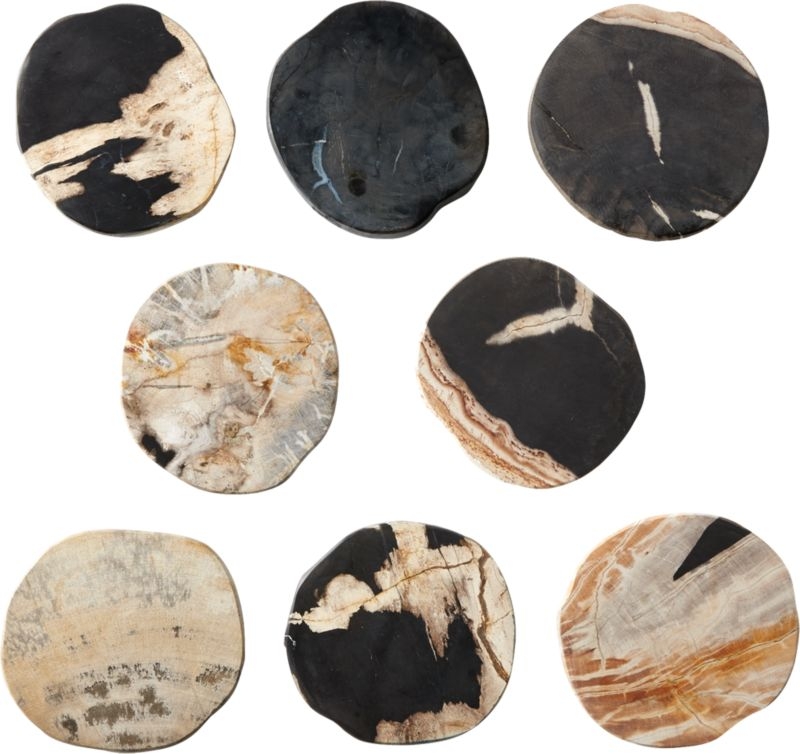 Ring Petrified Wood Coasters Set of 4 - Image 5
