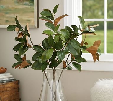 Magnolia Branch - Image 0