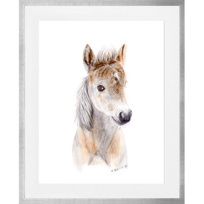 'Baby Horse' by Brett Blumenthal Framed Painting Print - Image 0