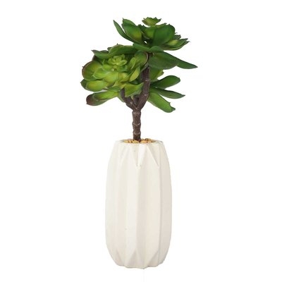 Artificial Indoor/Outdoor Decor Desktop Succulent Plant in Decorative Vase - Image 0