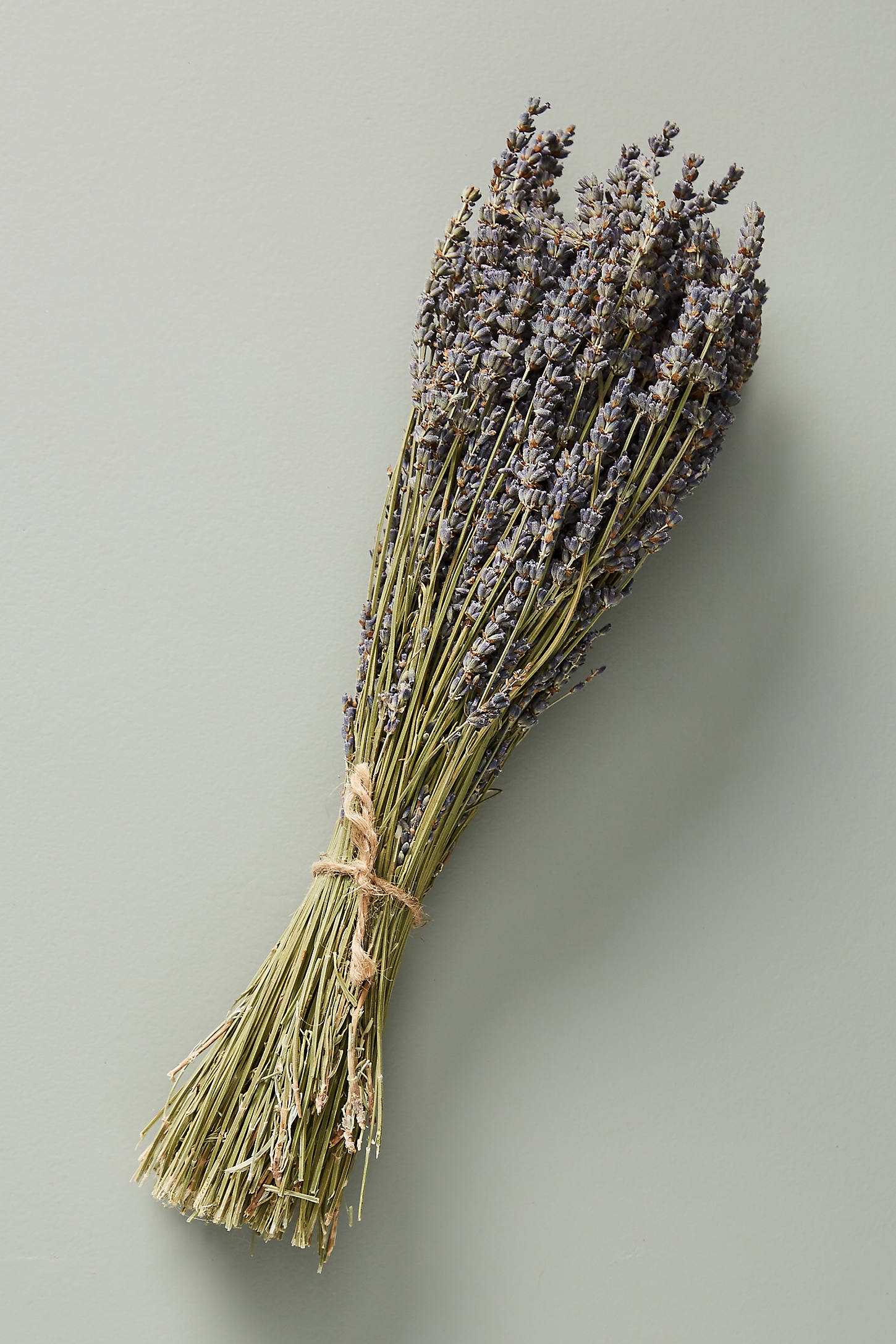 Dried Lavender Bouquet - Image 0