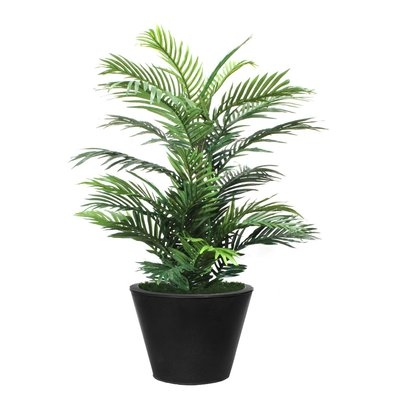Palm Plant in Planter - Image 1